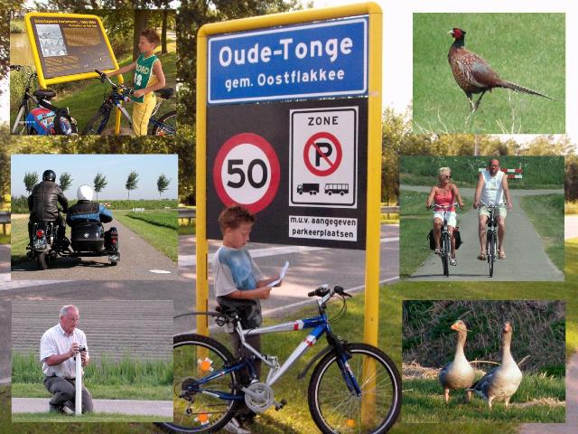 Omgeving Camping De Krammer Oude Tonge